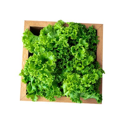 Salata kristal 1 kom