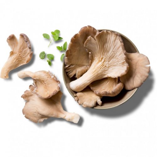 Bukovača 500 g