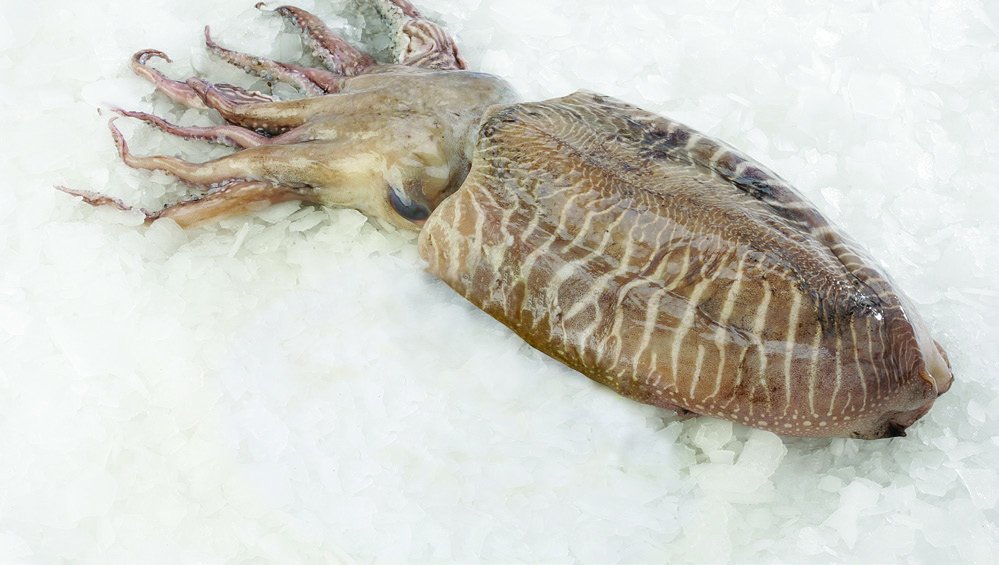 Sipa 1kg