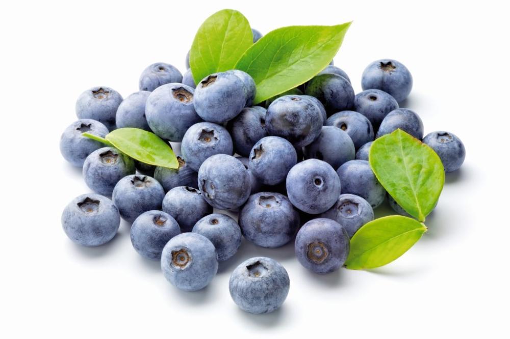 Borovnica 500 g