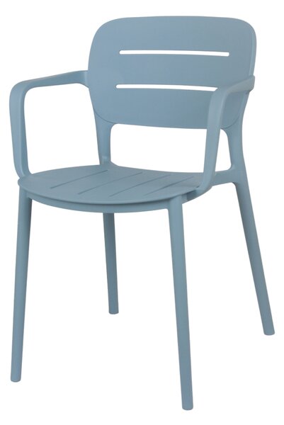 Stolica sage srn
