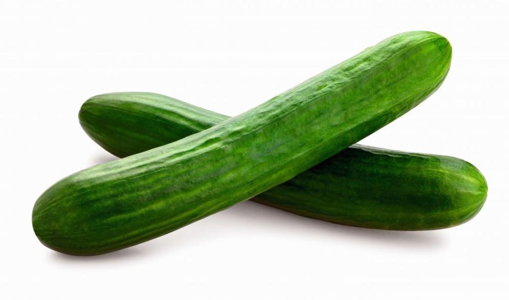 Krastavac salatar 1 kom