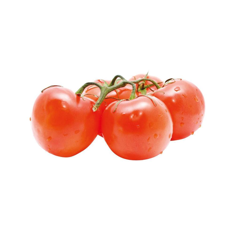 Rajčica
