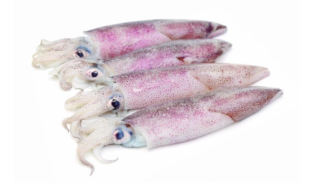 Lignja 1kg