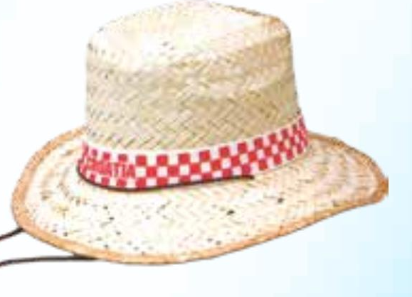 Šešir
