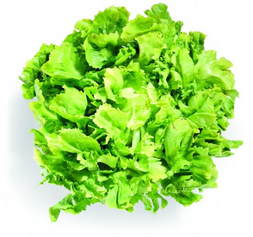 Salata kristal