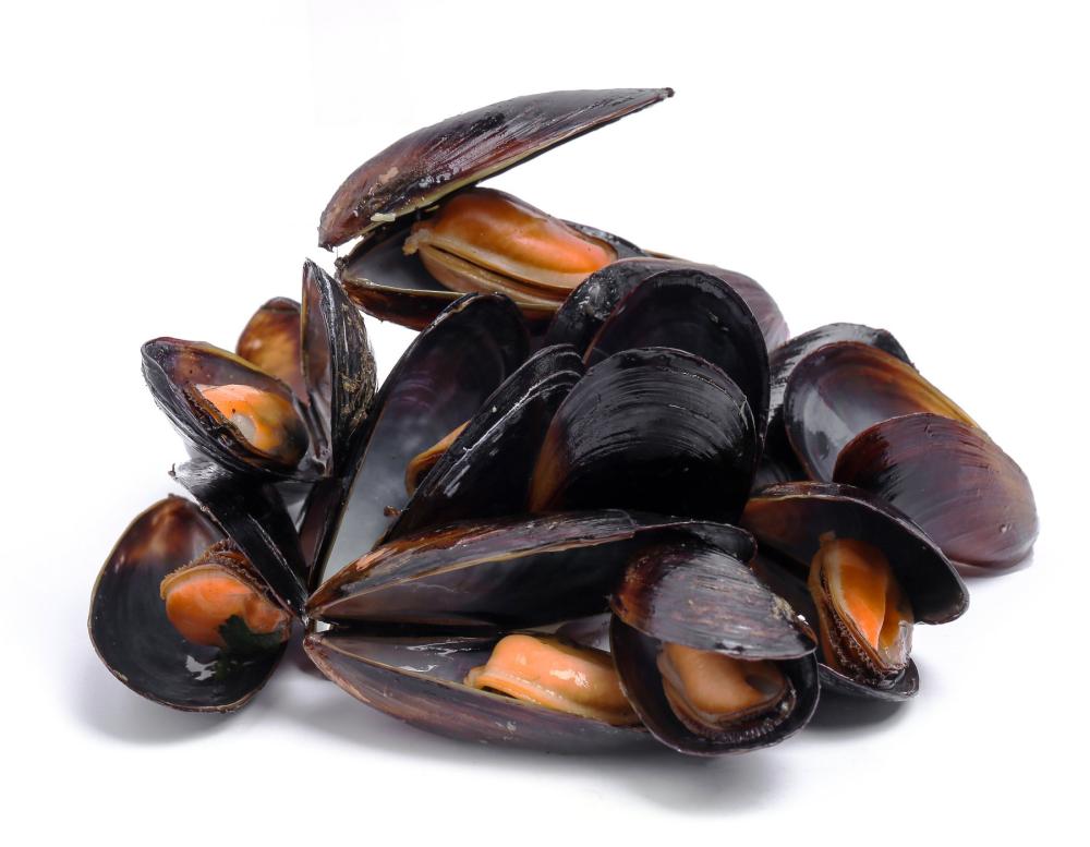Bio dagnje 1 kg