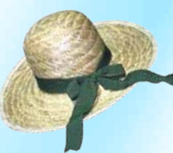 Šešir