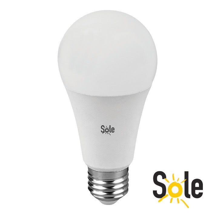 Žarulja led