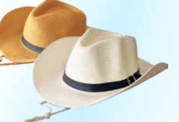 Šešir