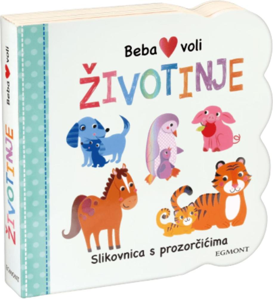 Edukativna slikovnica