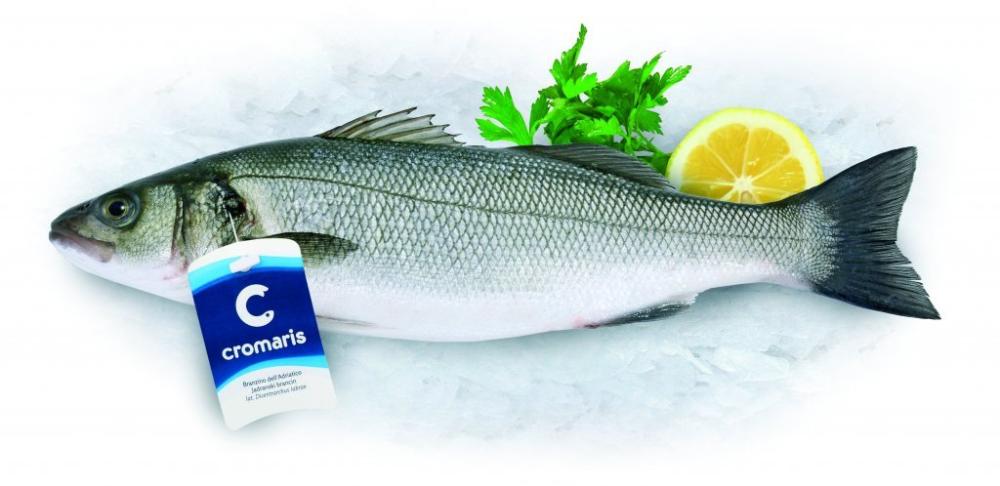 Jadranski brancin 400-600g/kom, 1kg
