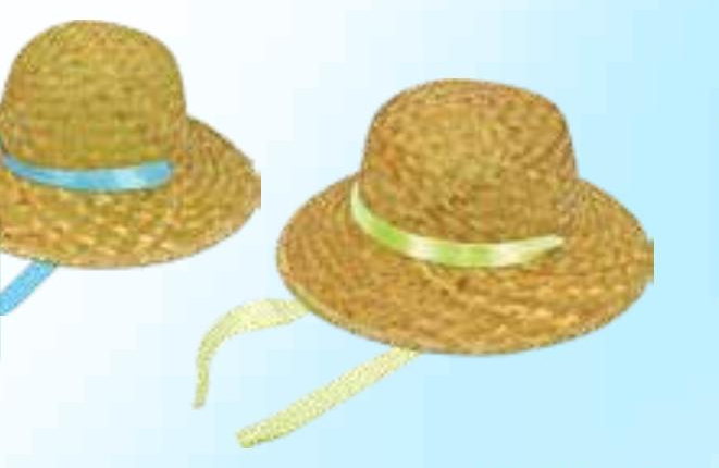 Šešir