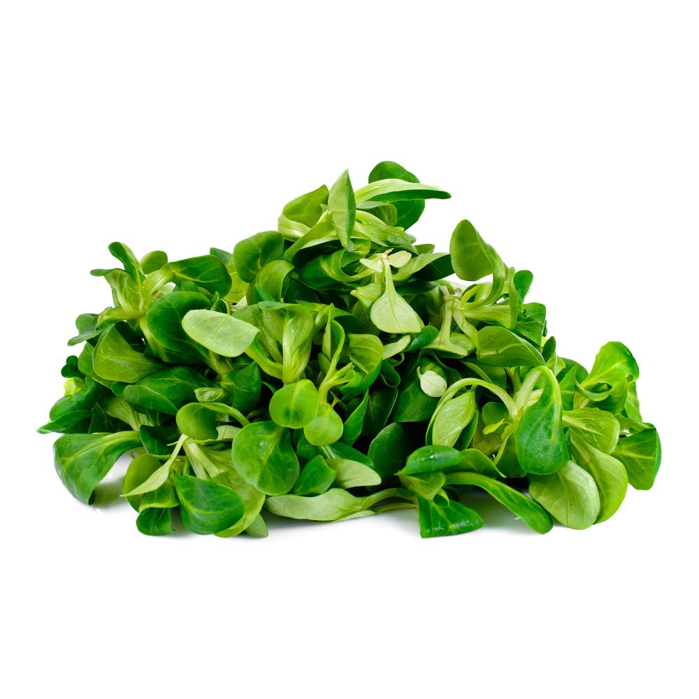 Matovilac 100 g