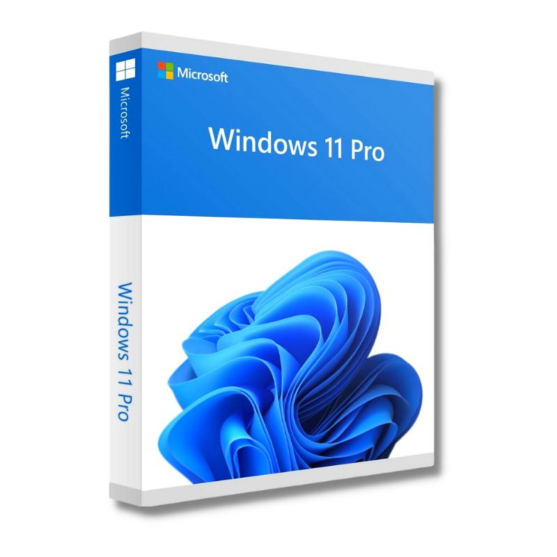 Windows 11 pro