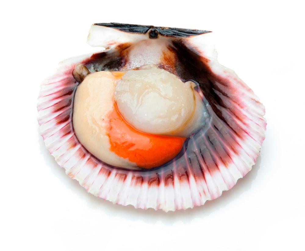 Jakobove kapice polovice 1 kg